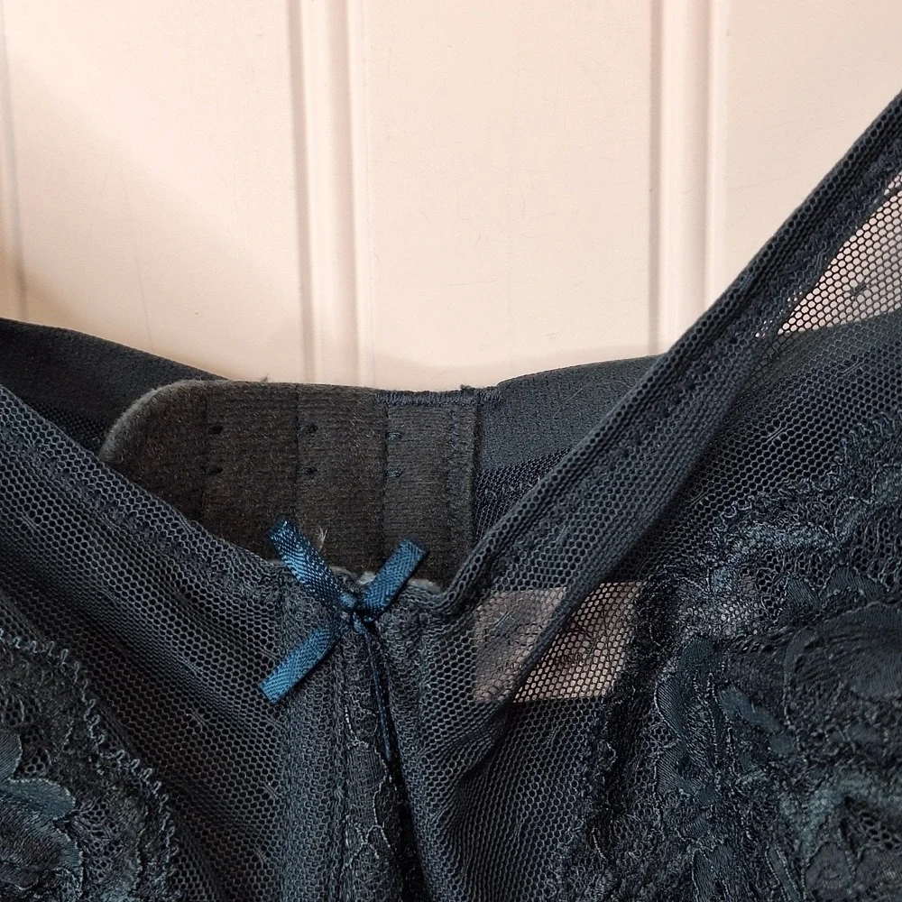 HSIA Womens Green Lace Sexy Underwire Bra 46C Adjustable Strap Hook Eye Sheer‎